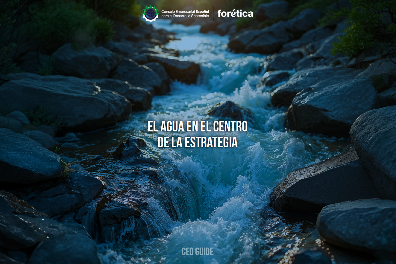 sostenibilidad empresarial